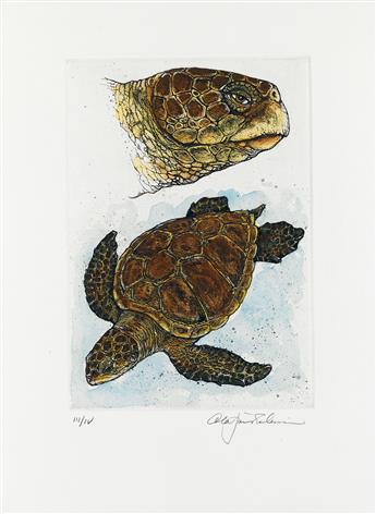 (CHELONIIDAE PRESS.) Robinson, Alan James. Cheloniidae: Sea Turtles.